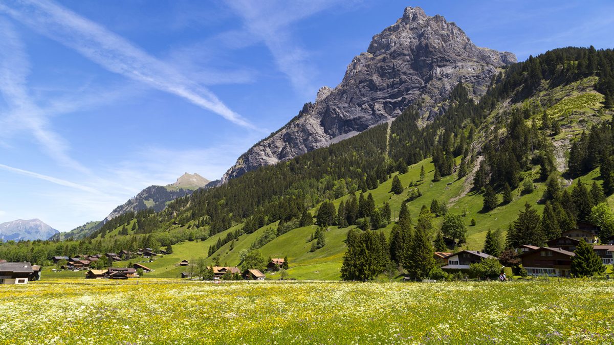 Educational Trips In Switzerland