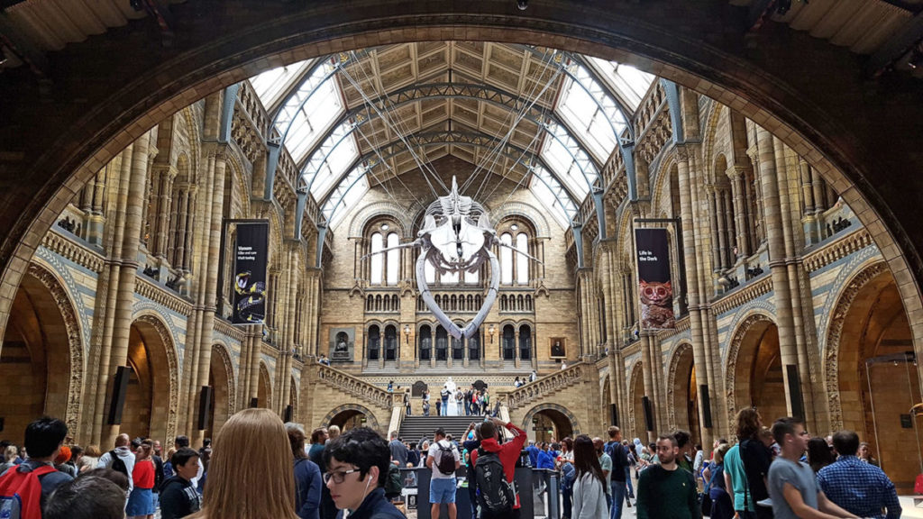 Natural History Museum in London