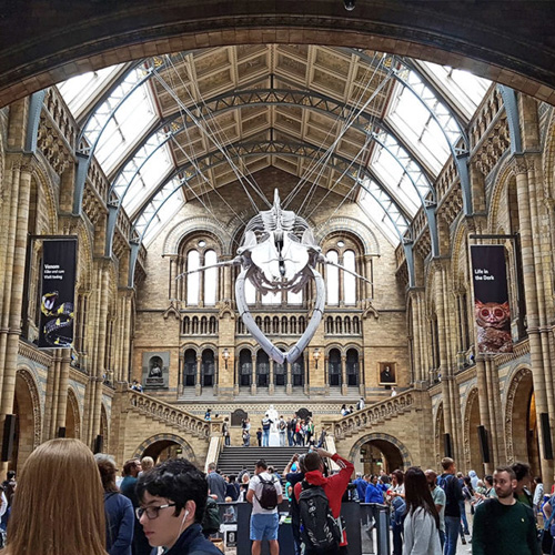 The Natural History Museum London