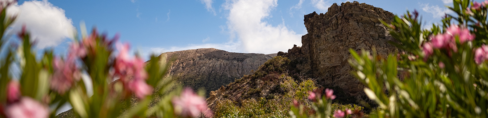 View of Vulcano between flowers in Sicily Italy