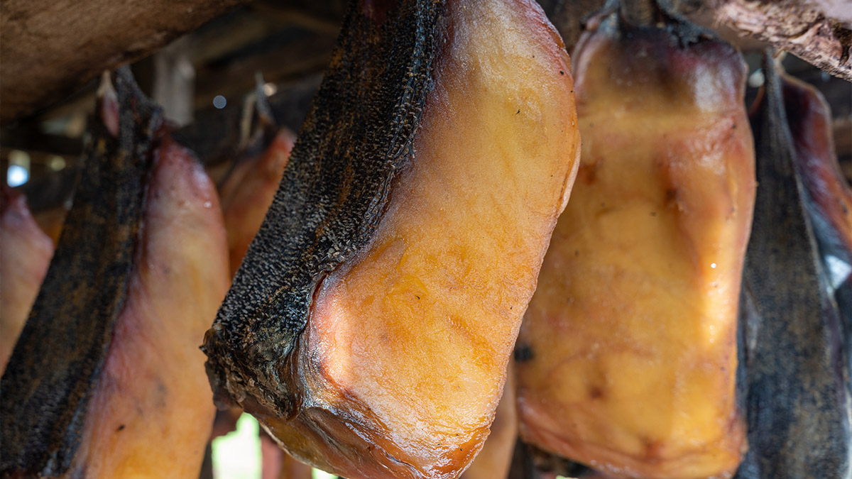 Greenland shark meat