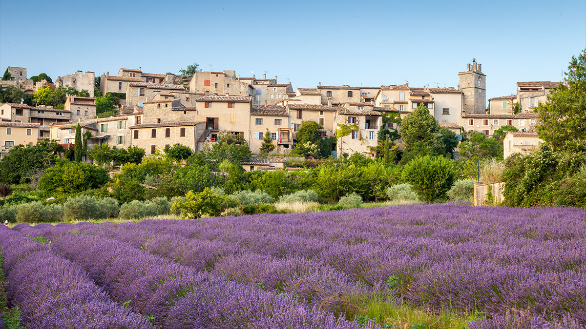 Saigon village and lavender fields